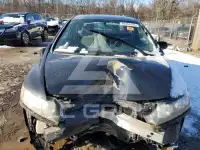 2007 Honda CIVIC фото