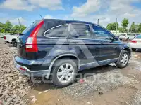 2007 Honda CR-V фото