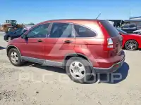 2007 Honda CR-V photo