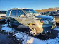 2007 Honda PILOT фото