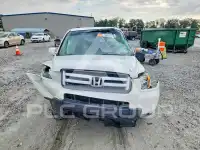 2007 Honda PILOT фото