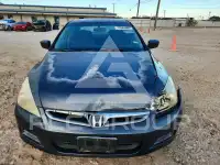 2007 Honda Accord photo