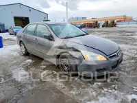 2007 Honda Accord фото