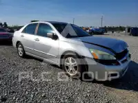 2007 Honda Accord photo