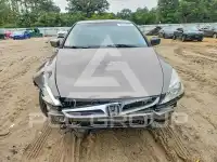 2007 Honda Accord photo