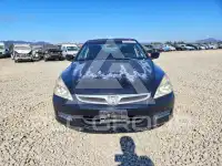 2007 Honda Accord photo