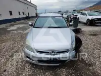 2007 Honda Accord фото