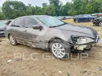 2007 Honda Accord photo