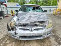 2007 Honda Accord photo
