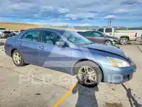 2007 Honda Accord photo