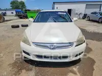 2007 Honda Accord photo