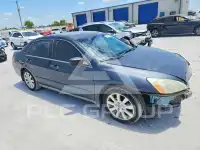 2007 Honda Accord фото