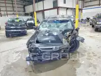 2007 Honda Accord photo