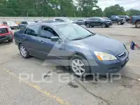 2007 Honda Accord фото