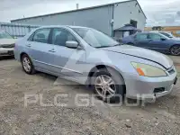 2007 Honda Accord photo