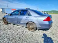 2007 Honda Accord photo