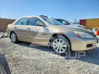 2007 Honda Accord фото