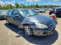 2007 Honda Accord фото