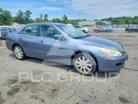 2007 Honda Accord фото