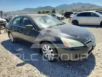 2007 Honda Accord фото