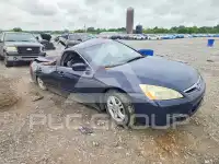 2007 Honda Accord photo