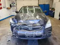 2007 Honda Accord фото