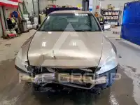 2007 Honda Accord фото