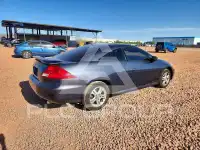 2007 Honda Accord фото
