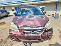 2007 Honda ODYSSEY фото