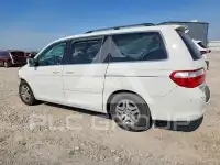 2007 Honda ODYSSEY фото