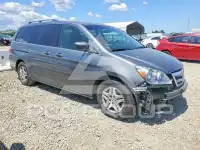 2007 Honda ODYSSEY photo