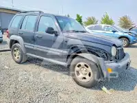 2007 Jeep LIBERTY photo