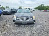 2007 Cadillac DTS фото