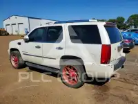 2007 Cadillac ESCALADE photo