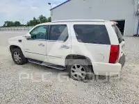 2007 Cadillac ESCALADE фото