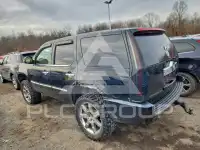 2007 Cadillac ESCALADE фото