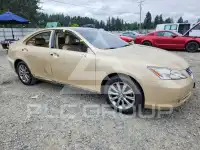 2007 Lexus ES350 photo
