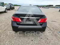 2007 Lexus ES350 фото
