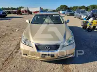 2007 Lexus ES350 фото