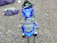 2007 Yamaha YZF1000 фото