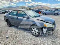 2007 Toyota COROLLA photo