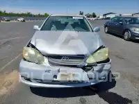 2007 Toyota COROLLA photo