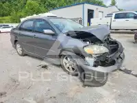 2007 Toyota COROLLA фото