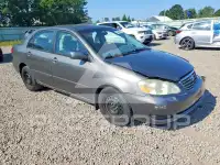 2007 Toyota COROLLA фото