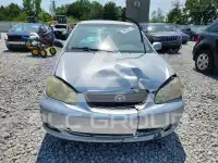 2007 Toyota COROLLA photo