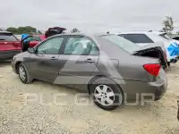 2007 Toyota COROLLA photo