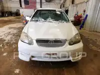 2007 Toyota COROLLA photo