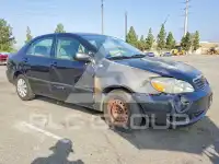 2007 Toyota COROLLA фото
