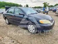 2007 Toyota COROLLA фото