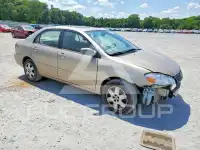 2007 Toyota COROLLA photo